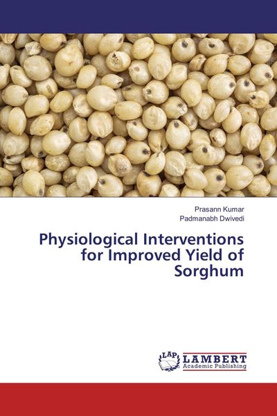 Produktbild: Physiological Interventions for Improved Yield of Sorghum