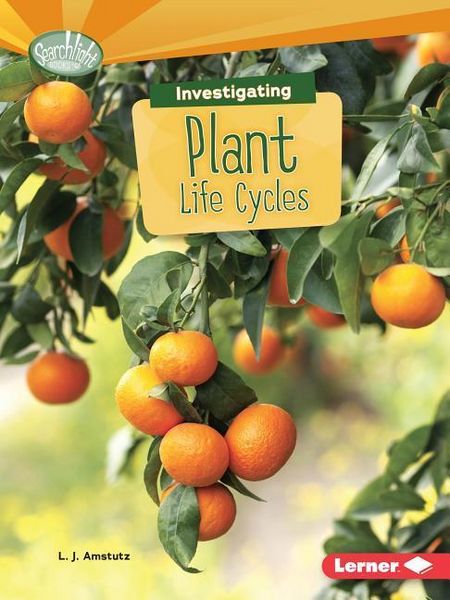 Produktbild: Investigating Plant Life Cycle