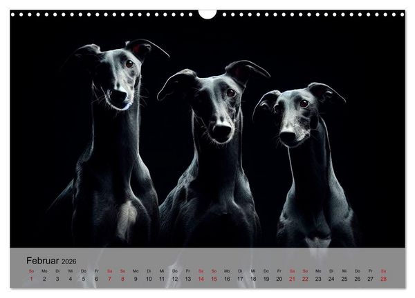 Produktbild: Black is beautiful (Wandkalender 2026 DIN A3 quer), CALVENDO Monatskalender