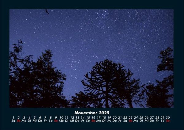 Produktbild: B&auml;ume 2025 Fotokalender DIN A4