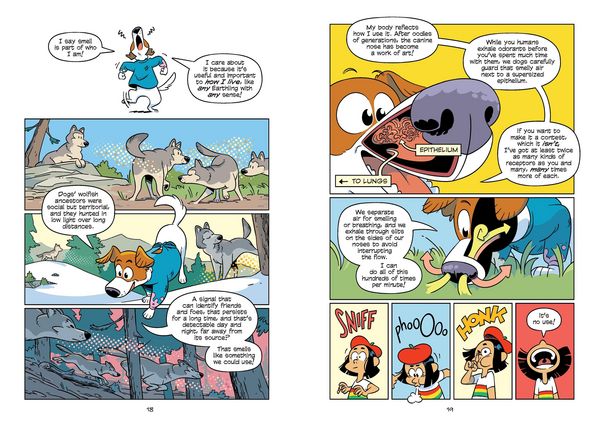 Produktbild: Science Comics: The Senses