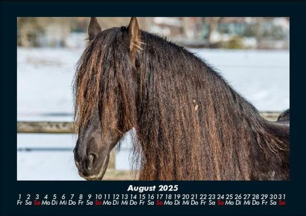 Produktbild: Pferdetraum 2025 Fotokalender DIN A5