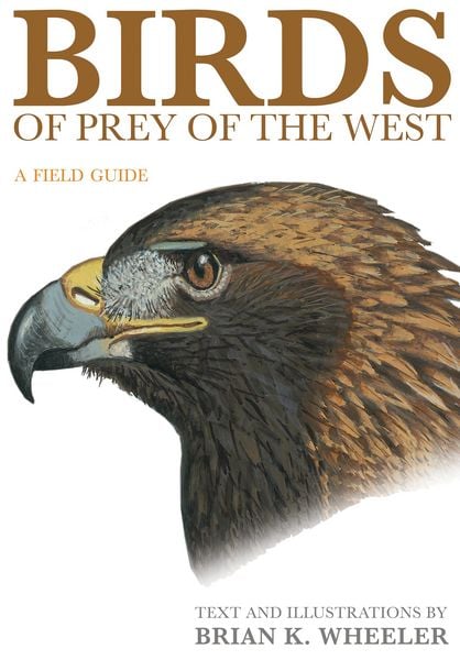 Produktbild: Birds of Prey of the West