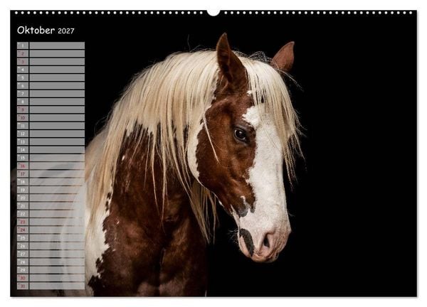 Produktbild: Pferde - Spiegel deiner Seele (Wandkalender 2027 DIN A2 quer), CALVENDO Monatskalender
