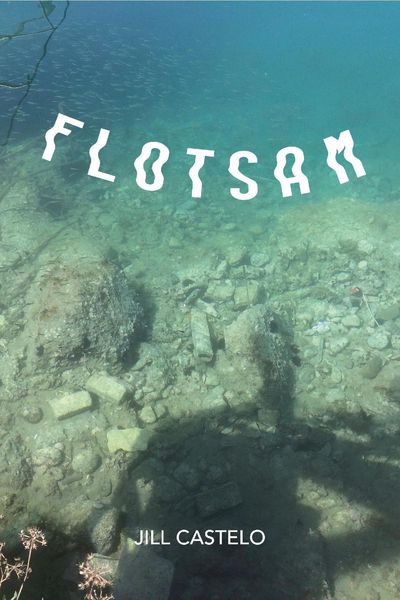 Produktbild: Flotsam (The Artemesis Mysteries, #1)