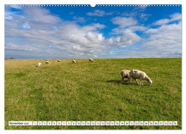 Produktbild: Schleswig-Holstein - Nordfriesland (hochwertiger Premium Wandkalender 2026 DIN A2 quer), Kunstdruck in Hochglanz