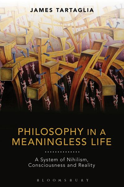 Produktbild: Philosophy in a Meaningless Life