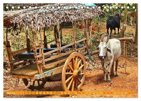 Produktbild: Sri Lanka, Gr&uuml;ne Berge - unber&uuml;hrte Natur (Tischkalender 2026 DIN A5 quer), CALVENDO Monatskalender