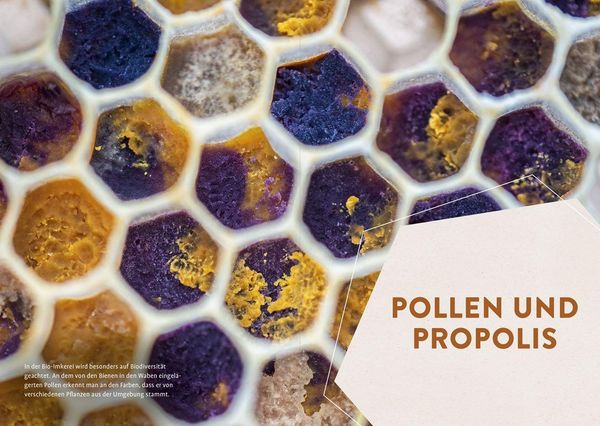 Produktbild: Biologisch imkern &ndash; Die rechtlichen Basics