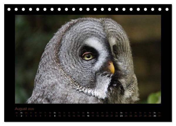 Produktbild: Eulen und K&auml;uze (Tischkalender 2026 DIN A5 quer), CALVENDO Monatskalender