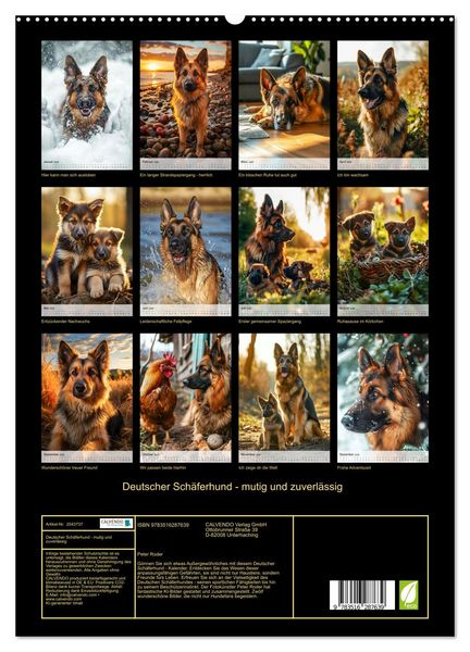 Produktbild: Deutscher Sch&auml;ferhund - mutig und zuverl&auml;ssig (hochwertiger Premium Wandkalender 2026 DIN A2 hoch), Kunstdruck in Hochglanz