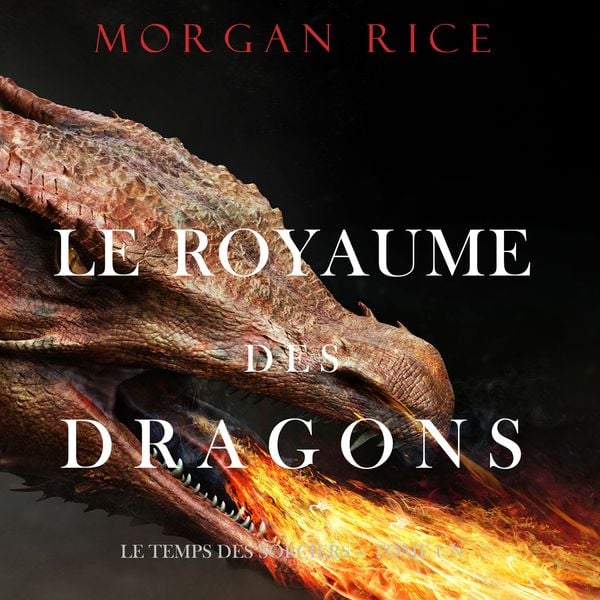 Produktbild: Le Royaume des Dragons (Le Temps des Sorciers &mdash; Tome Un)