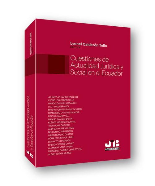 Produktbild: Cuestiones de actualidad jur&iacute;dica y social en el Ecuador