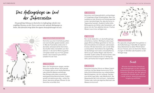 Produktbild: Kaninchen im Au&szlig;engehege