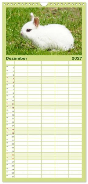 Produktbild: Familienplaner 2027 - Liebenswerte Zwergkaninchen mit 5 Spalten (Wandkalender, 21 x 45 cm) CALVENDO
