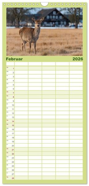 Produktbild: Familienplaner 2026 - HIRSCHE UND REHE - Ein Jahr in freier Wildbahn mit 5 Spalten (Wandkalender, 21 x 45 cm) CALVENDO
