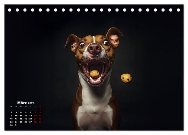 Produktbild: Leckerchen! (Tischkalender 2026 DIN A5 quer), CALVENDO Monatskalender