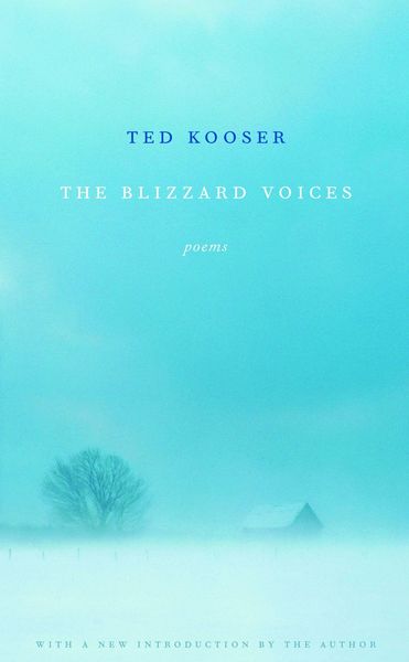 Produktbild: The Blizzard Voices