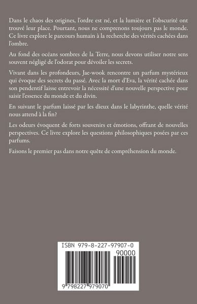 Produktbild: Labyrinthe de la vengeance