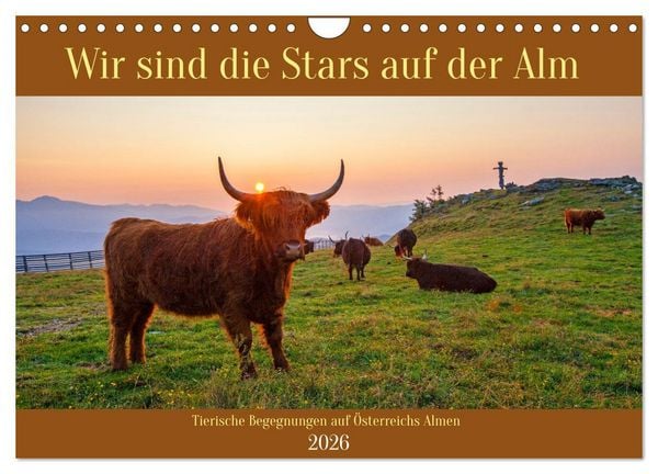Produktbild: Wir sind die Stars auf der Alm (Wandkalender 2026 DIN A4 quer), CALVENDO Monatskalender