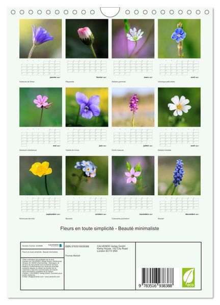 Produktbild: Fleurs en toute simplicit&eacute; - Beaut&eacute; minimaliste (Calendrier mural 2027 DIN A4 horizontal), CALVENDO calendrier mensuel