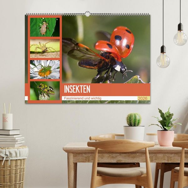 Produktbild: Insekten. Faszinierend und wichtig (Wandkalender 2026 DIN A2 quer), CALVENDO Monatskalender