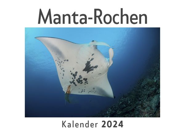 Produktbild: Manta-Rochen (Wandkalender 2024, Kalender DIN A4 quer, Monatskalender im Querformat mit Kalendarium, Das perfekte Geschenk)