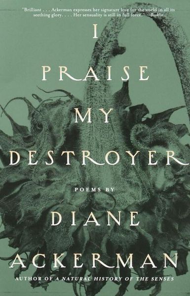 Produktbild: I Praise My Destroyer