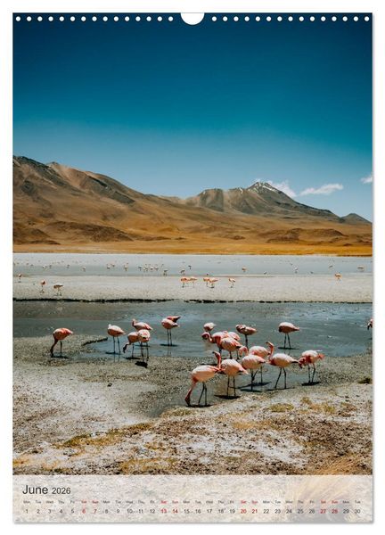 Produktbild: Longing for Travel (Wall Calendar 2026 DIN A3 portrait), CALVENDO 12 Month Wall Calendar