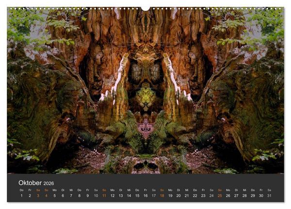 Produktbild: Spiegelwelten - Im Reich der Naturwesen (Wandkalender 2026 DIN A2 quer), CALVENDO Monatskalender