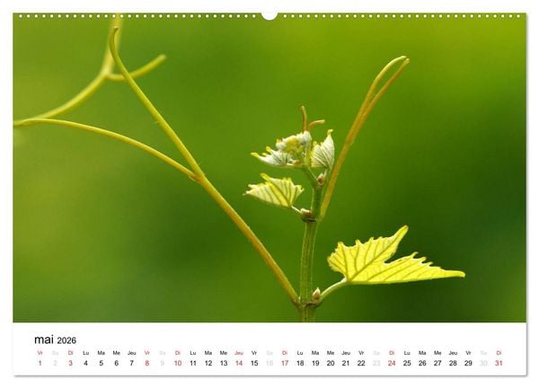 Produktbild: Gen&egrave;ve Points de vue (Calendrier mural 2026 DIN A2 vertical) calendrier de bureau