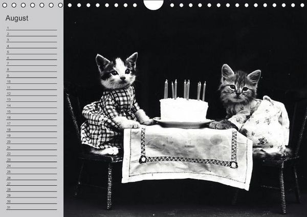 Produktbild: Katzen und Hunde - Nostalgie auf Pfoten (Wandkalender immerw&auml;hrend DIN A4 quer)