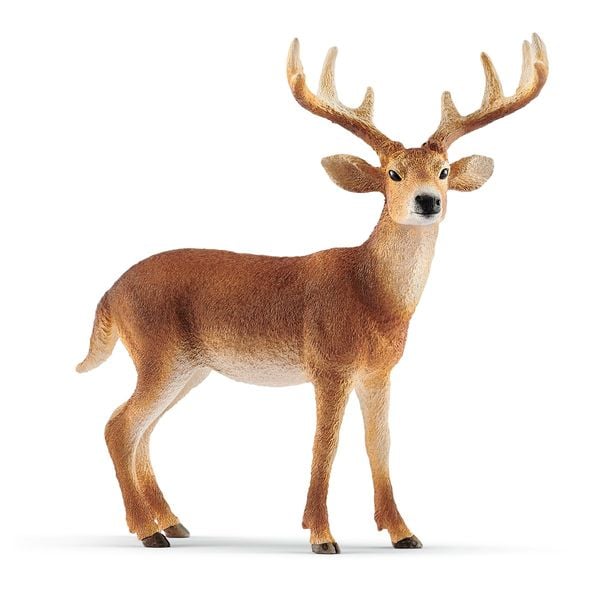 Produktbild: Schleich 14818 - Wild Life, Wei&szlig;wedelhirsch, Tierfigur