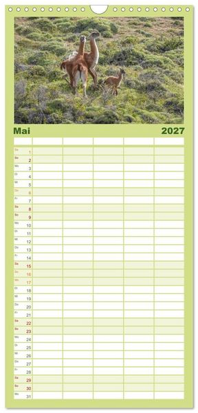 Produktbild: Familienplaner 2027 - Wildlife S&uuml;damerika mit 5 Spalten (Wandkalender, 21 x 45 cm) CALVENDO