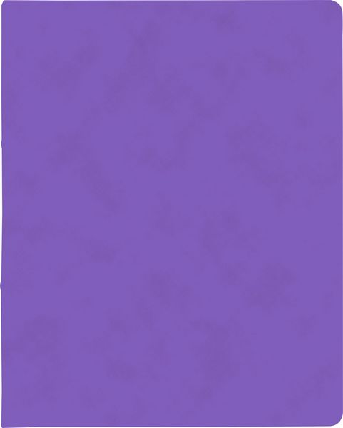 Produktbild: Brunnen Ringbuch FACT!plus &brvbar; A4, 2 Ringe, F&uuml;llh&ouml;he: 15 mm, violett