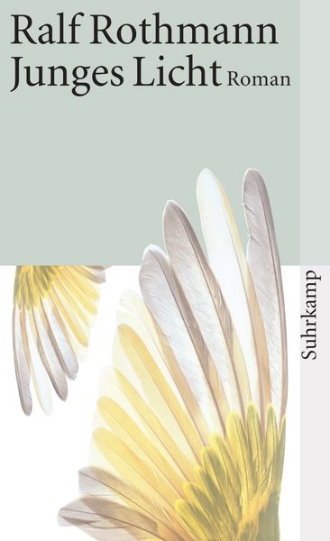 Junges Licht, Taschenbuch von Ralf Rothmann, Suhrkamp, 9783518457542