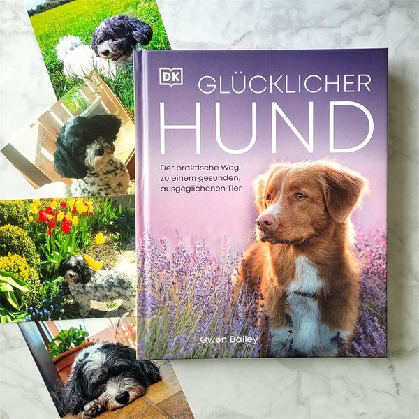 Hund' 'Gwen - Buch - '978-3-8310-4395-8'