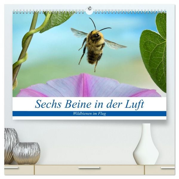 Produktbild: Sechs Beine in der Luft - Wildbienen im Flug (hochwertiger Premium Wandkalender 2026 DIN A2 quer), Kunstdruck in Hochglanz