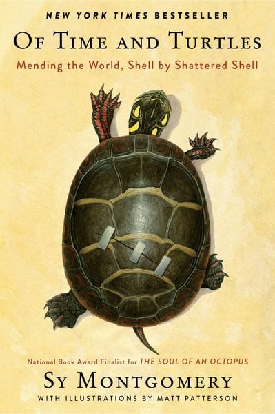 Produktbild: Of Time and Turtles