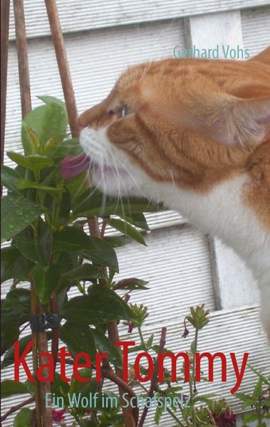 Produktbild: Kater Tommy