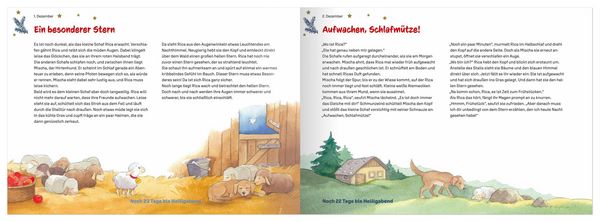 Produktbild: Rica und der geheimnisvolle Stern