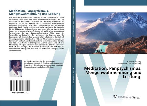 Produktbild: Meditation, Panpsychismus, Mengenwahrnehmung und Leistung