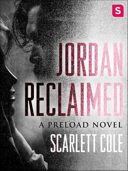 Produktbild: Jordan Reclaimed
