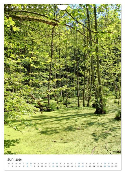 Produktbild: Insel R&uuml;gen - Kreide, Landschaft, Leuchtt&uuml;rme (Wandkalender 2026 DIN A4 hoch), CALVENDO Monatskalender