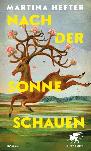 Nach der Sonne schauen