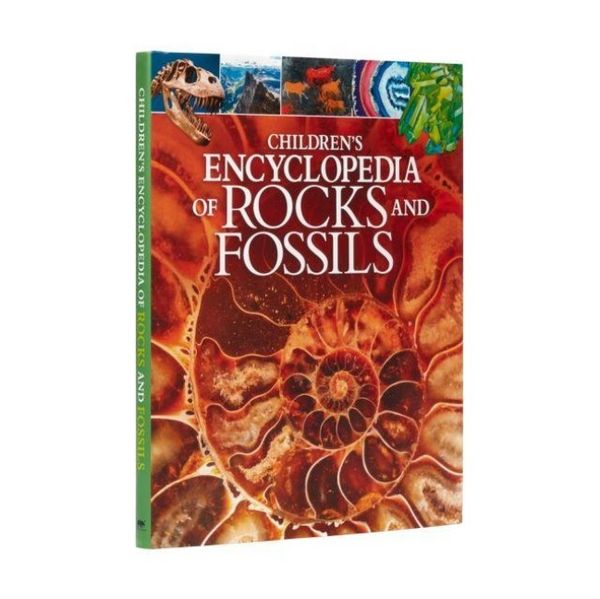 Produktbild: Martin, C: Children's Encyclopedia of Rocks and Fossils
