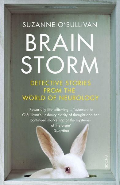 Produktbild: Brainstorm