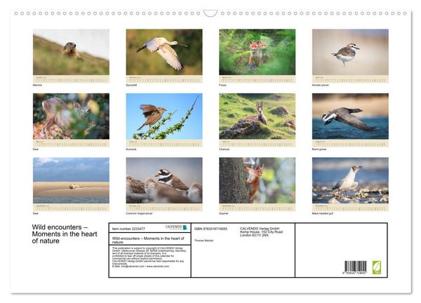 Produktbild: Wild encounters &ndash; Moments in the heart of nature (Wall Calendar 2026 DIN A2 landscape), CALVENDO 12 Month Wall Calendar