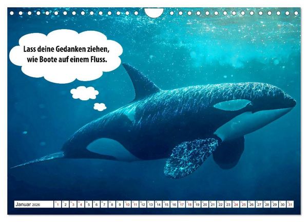 Produktbild: Stille Pfoten, weise Worte - Tiere zeigen dir den Weg zu mehr Gelassenheit (Wandkalender 2026 DIN A4 quer), CALVENDO Monatskalender