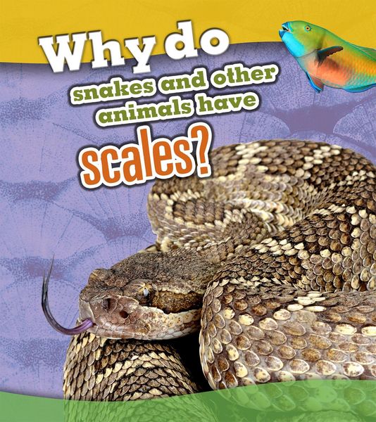 Produktbild: Why Do Snakes and Other Animals Have Scales?